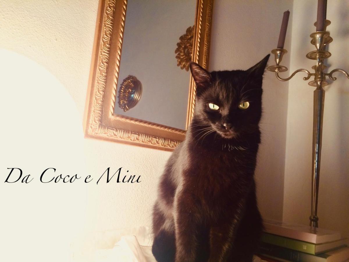 Da Coco E Mini,L'Angolo Per Ceramiste In Viaggio - Faenza Eksteriør billede