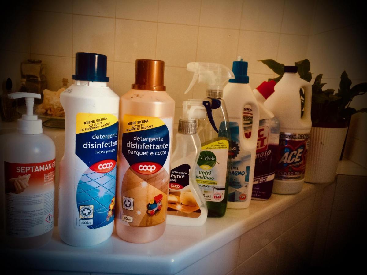 Da Coco E Mini,L'Angolo Per Ceramiste In Viaggio - Faenza Eksteriør billede