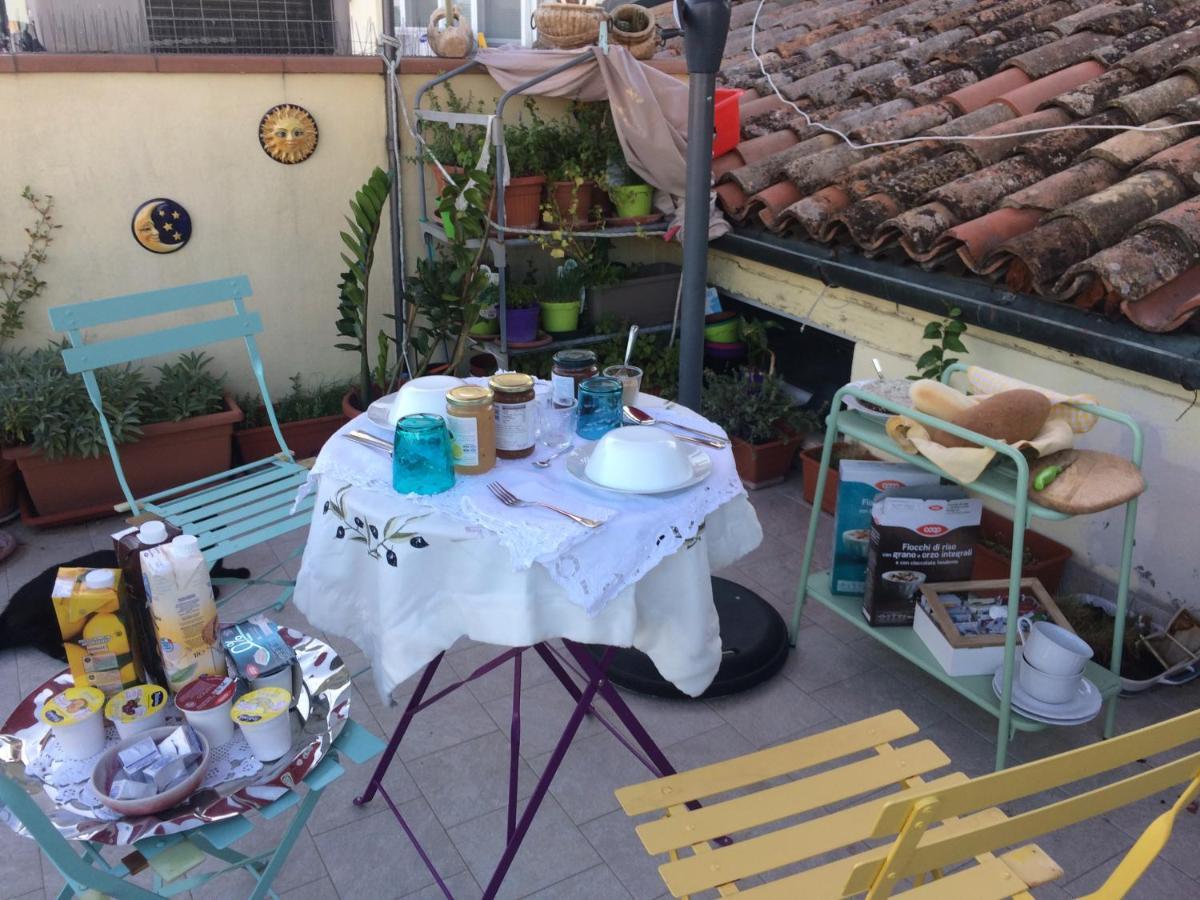 Da Coco E Mini,L'Angolo Per Ceramiste In Viaggio - Faenza Eksteriør billede
