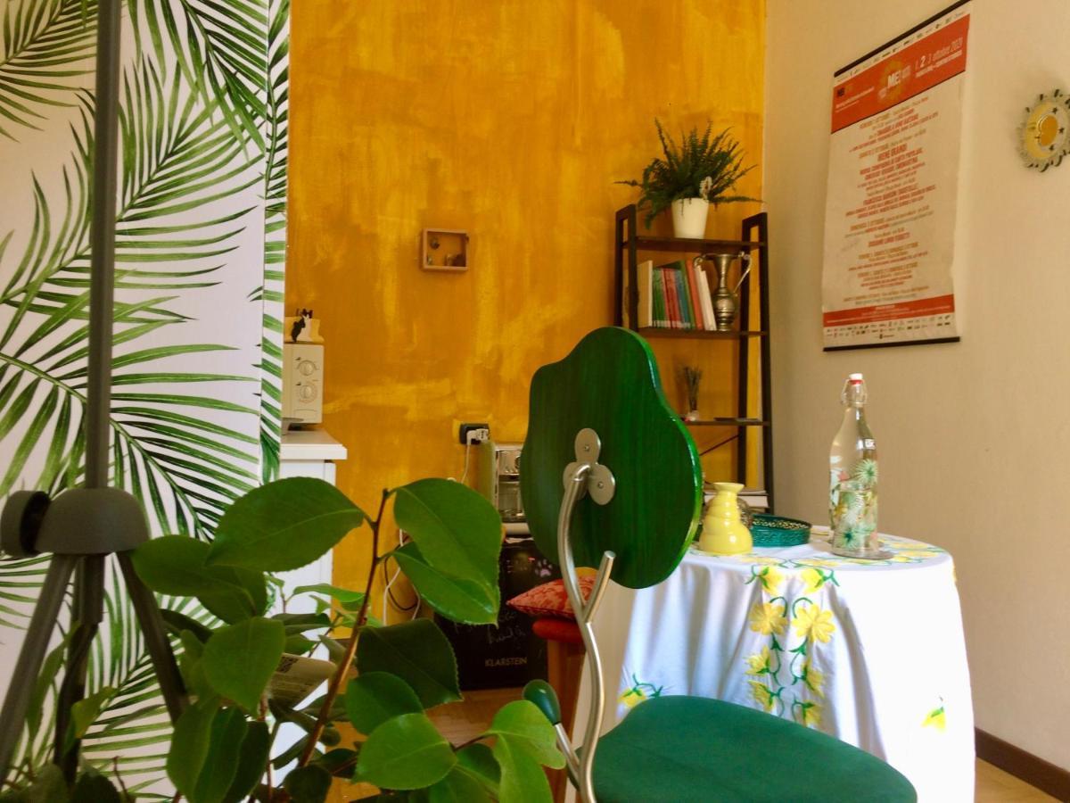 Da Coco E Mini,L'Angolo Per Ceramiste In Viaggio - Faenza Eksteriør billede